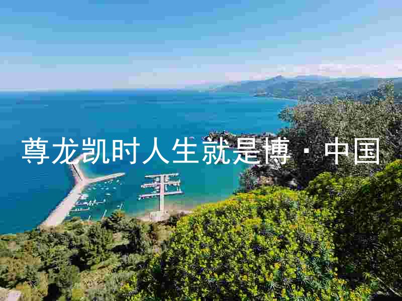 尊龙凯时人生就是博·中国