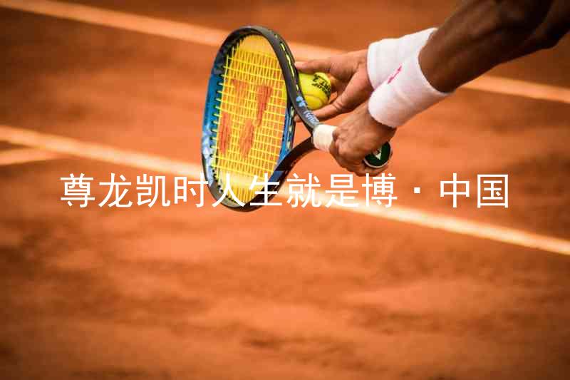 尊龙凯时人生就是博·中国