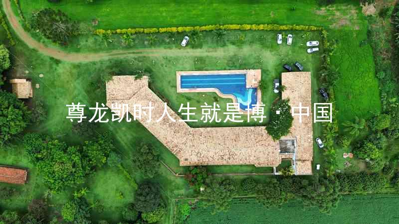 尊龙凯时人生就是博·中国