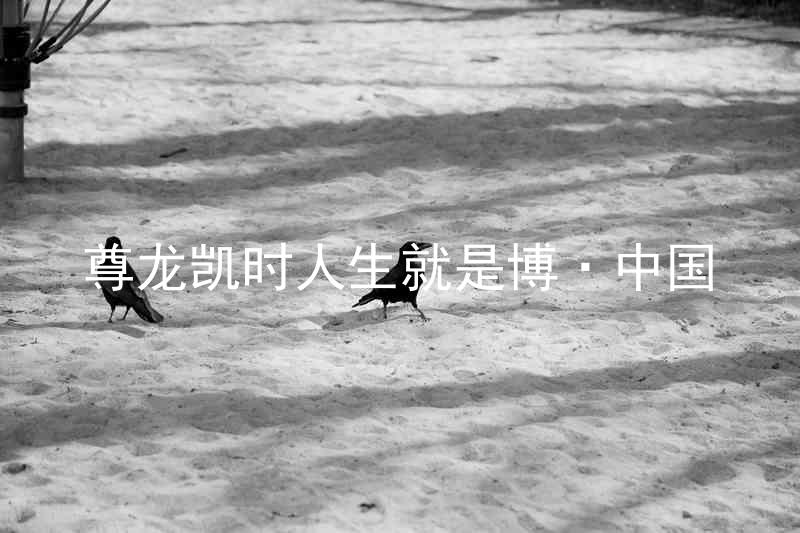 尊龙凯时人生就是博·中国