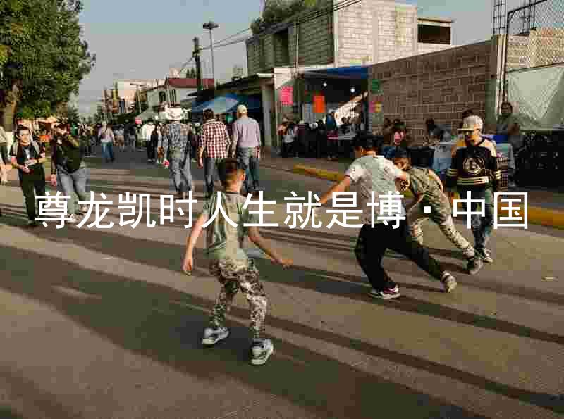 尊龙凯时人生就是博·中国